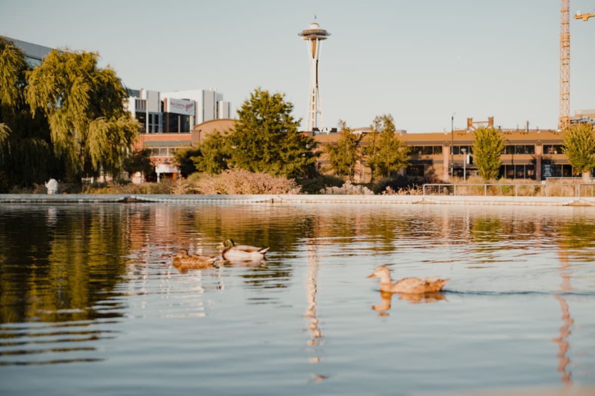 South Lake Union Apartments for Rent Dexter Lake Union